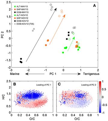 Microbially-Mediated Transformations of Estuarine Dissolved Organic Matter